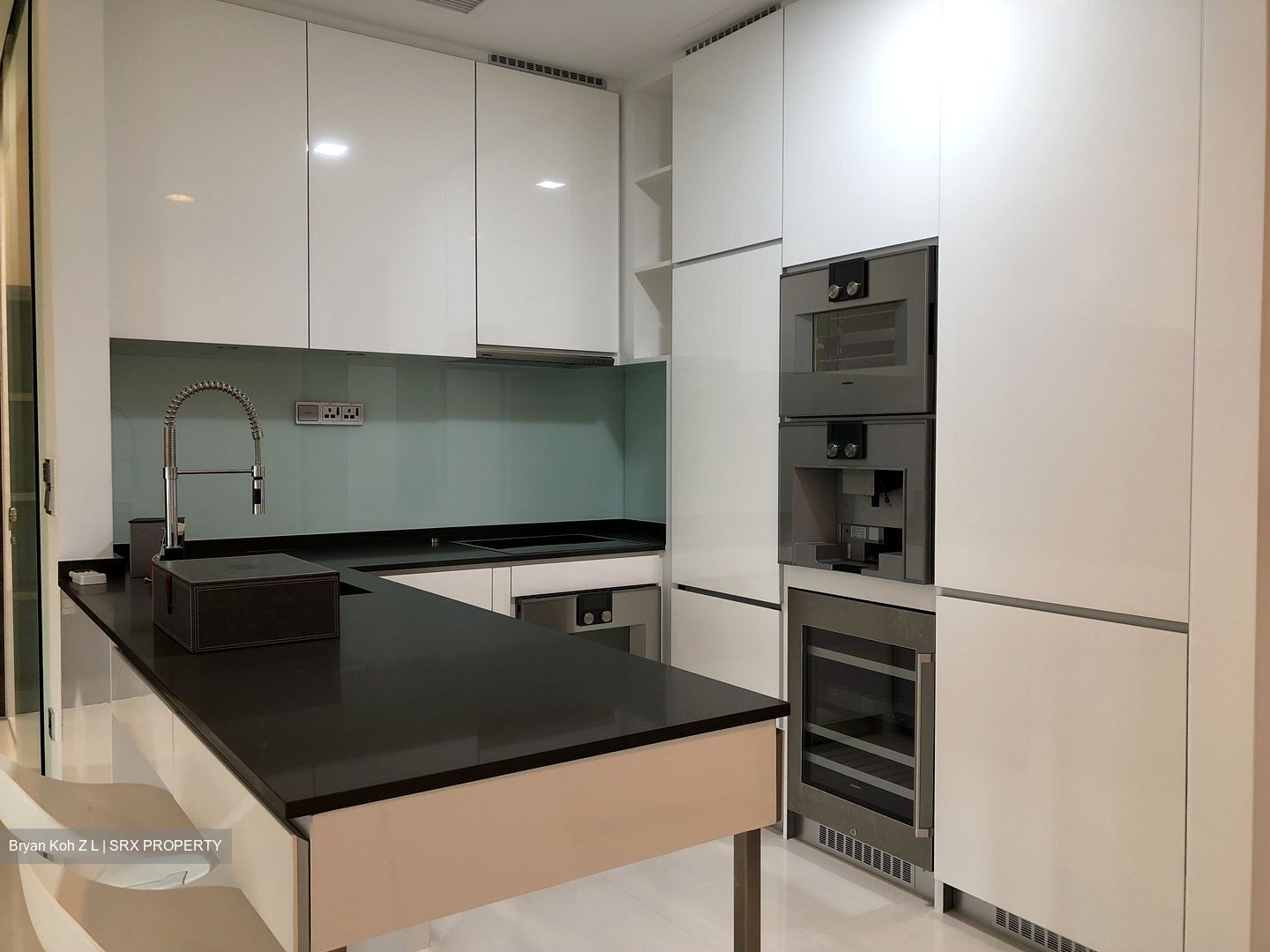 The Scotts Tower (D9), Condominium #349316401